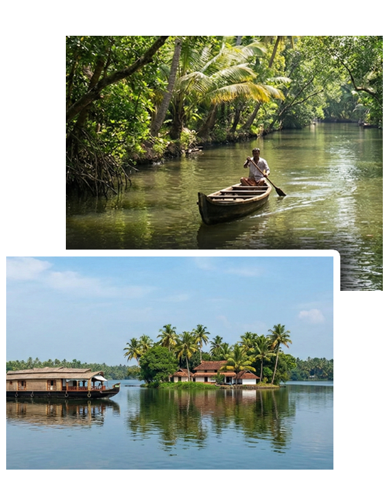 Sanps of Munroe Island